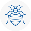Bed Bug Extermination In Southfields