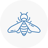 Bee Nest Removal Southfields