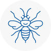 Southfields Hornet Nest Removals