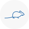 Mice Exterminators In Southfields