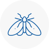 Moth Control Specialists In Southfields
