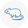 Rat Control Southfields