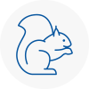 Southfields Rodent Removals